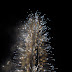 DSC03345.JPG