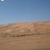 DSC03397.JPG