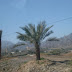 DSC03420.JPG