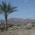 DSC03421.JPG