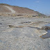 DSC03518.JPG