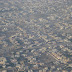 DSC03633.JPG