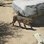 DSC02669.JPG