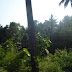 DSC02951.JPG