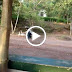 MOV02989.MPG