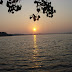 DSC02998.JPG