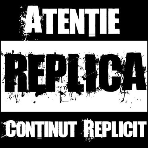 [ReplicaAtentiecontinutReplicit[1].jpg]