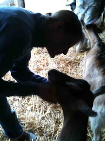 A little chin rub down