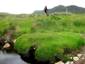 though we were past the streams, we faced a new challenge...  absolutely no trail across miles of wet marshy bog.
