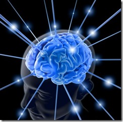 brain-763982-1
