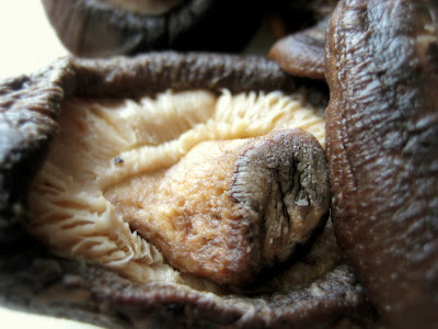 ShitakeMushrooms