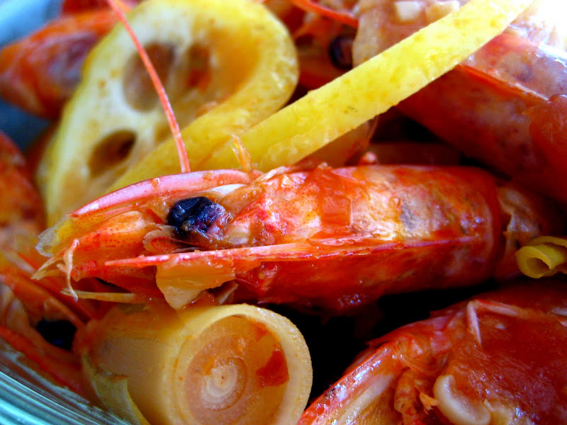 Shrimp