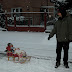DSCF0685.JPG