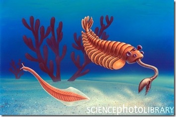 E442723-Cambrian_animals,_artwork-SPL E442723-Cambrian_animals,_artwork-SPL