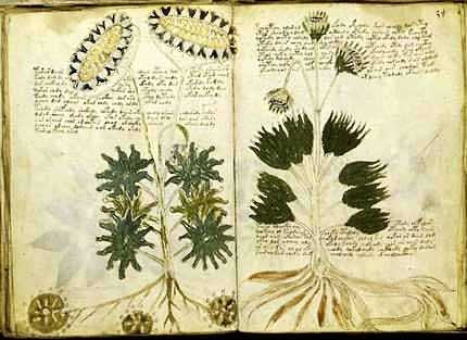 [manuscrito-de-voynich[7].jpg]