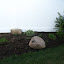 zengirl's Future pond  garden