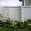zengirl's Future pond  garden