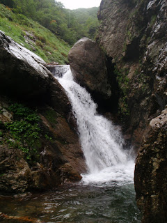 Co955 の滝は左岸の大きなチョックストンの脇から本流したみずが弧を描いていき追いよく落ちている。