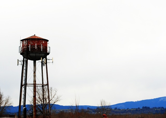 [Tower Crop[5].jpg]