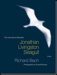 jonathan seagull