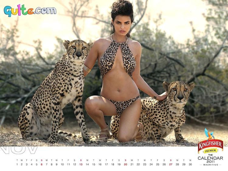 [Kingfisher Calendar 2011_11[2].jpg]