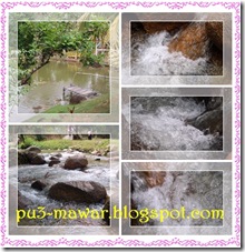 RAUB1 RAUB1