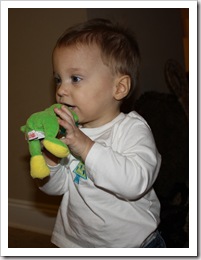 IMG_1157 IMG_1157
