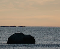 P1090012_2.JPG Photo