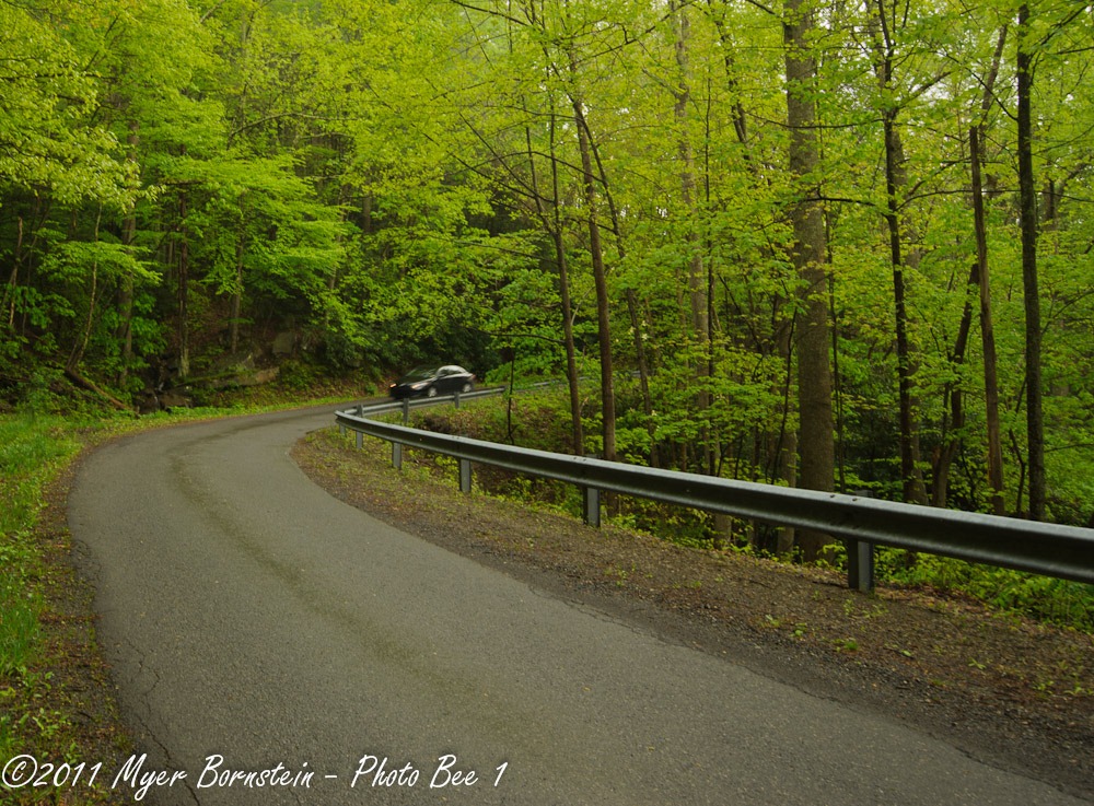 [Route 82 _ROT1525West Virginia  May 01, 2011 NIKON D3S[3].jpg]