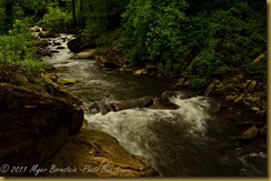 Running water Gorge_D074659West Virginia  NIKON D7000 May 06, 2011