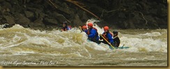 New River WW Rafting _D074151West Virginia  May 01, 2011 NIKON D7000