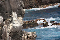 Galapagos (193).JPG