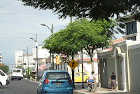  &ndash; Arriesgarse con un peaton o con arriegarse con un auto. &ndash; 28-jul-2010
