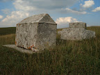 DSC07115.JPG