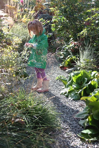 [aug-sept -garden tours 101[3].jpg]