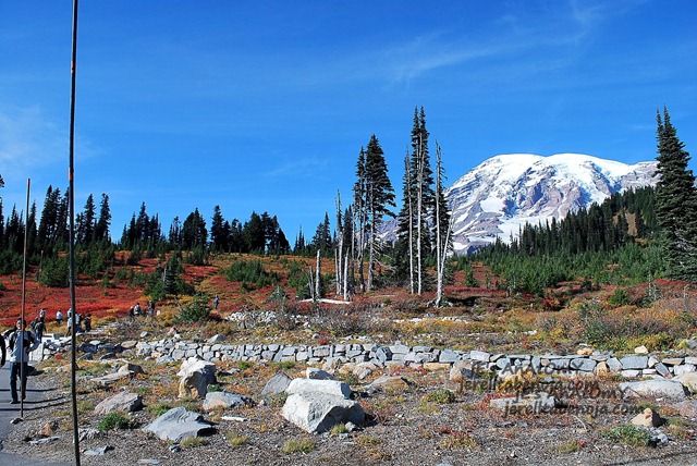 [DSC_0832[2].jpg]