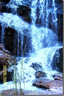 100_6567-1 100_6567-1