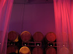 Party to celebrate Patz and Hall's new facility--they created a swanky lounge.