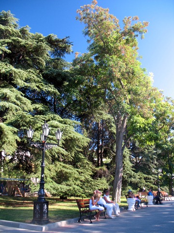 [IMG_85967.jpg]