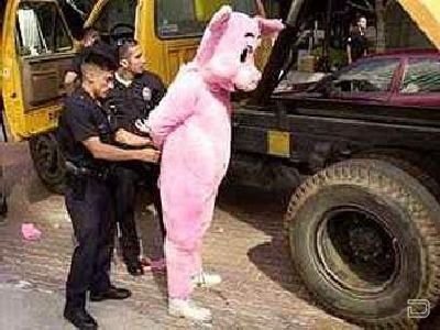 [1264476777_costume_guys_arrested_15[2].jpg]