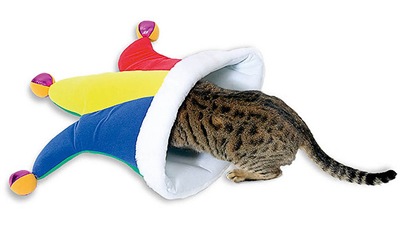 08-107_jester_hat_with_cat 08-107_jester_hat_with_cat