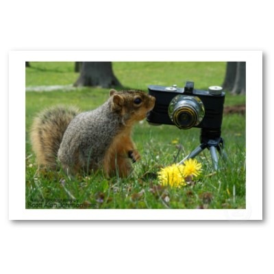[animales-camara (8)[2].jpg]