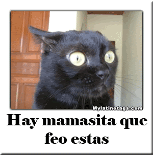 grosero_comentarios6