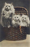 clip_image002