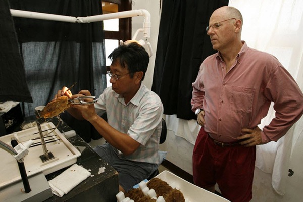 1285310949_doseng.org_25