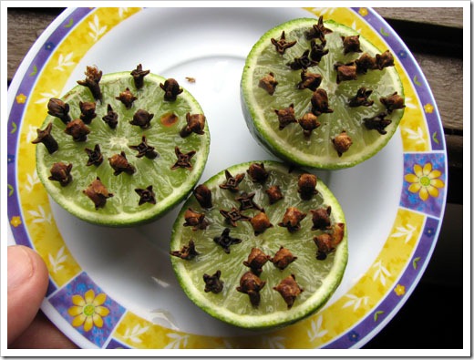 limon antimosquitos limon antimosquitos