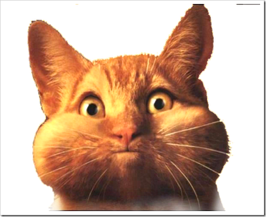 35Fat_Cat-med3 35Fat_Cat-med3