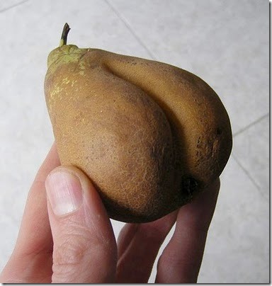 peraculo