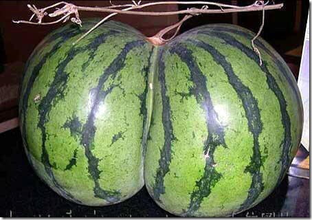 sandia_con_forma_de_culo