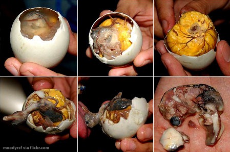 [Balut-3[2].jpg]